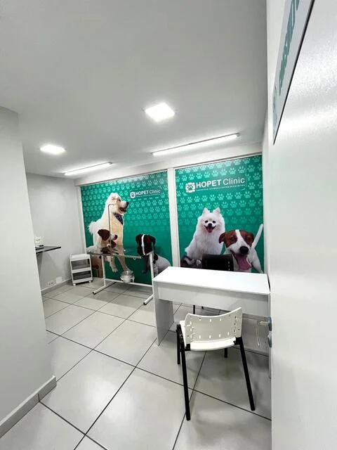 Exames Laboratoriais para Diagnósticos Precisos